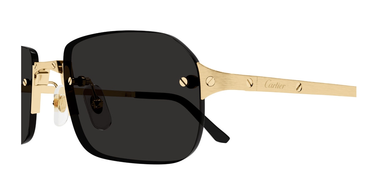 CARTIER CT0460S 001 XL CAT 3