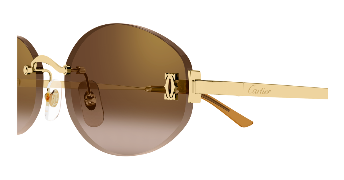 CARTIER CT0592S 002 XL CAT 2