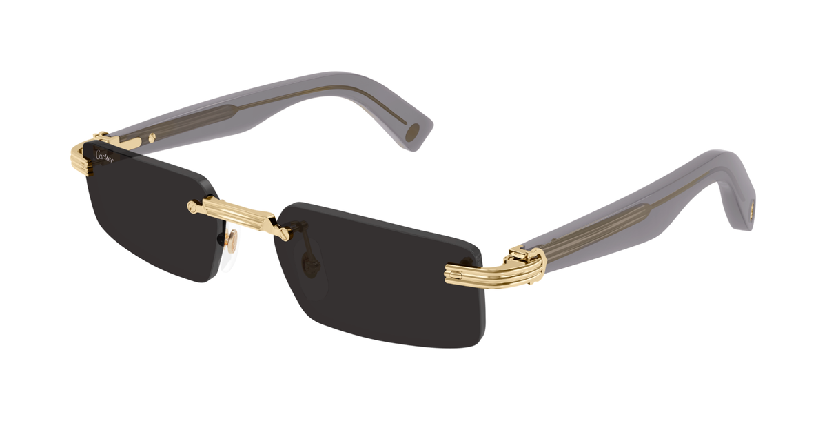 CARTIER CT0537S 001 M CAT 3