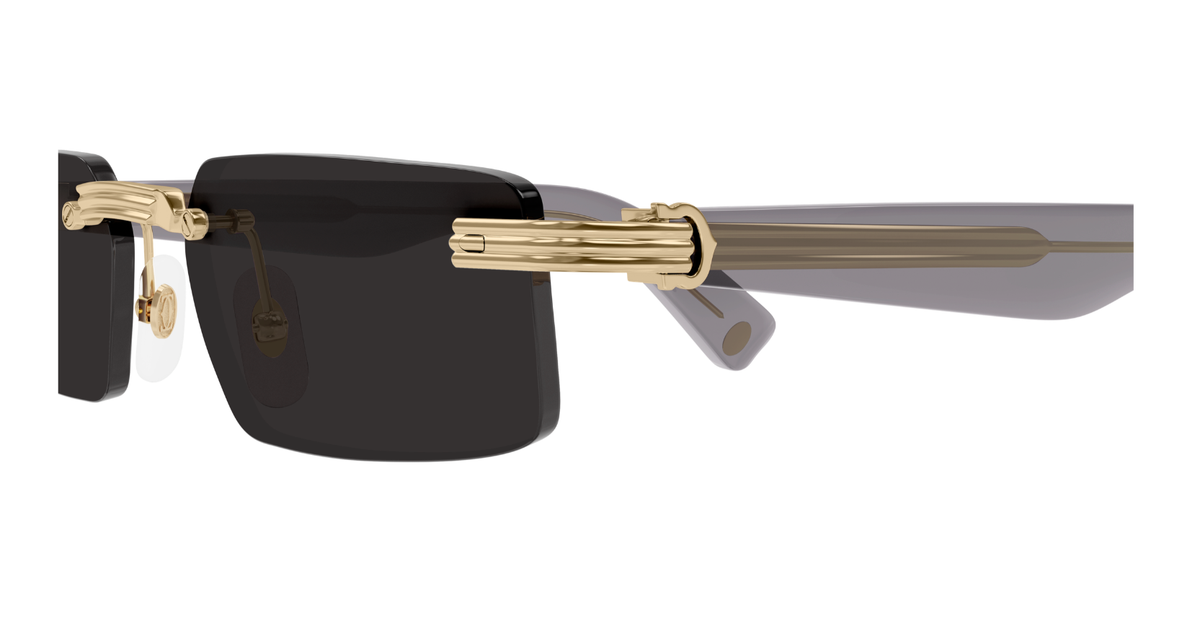 CARTIER CT0537S 001 M CAT 3