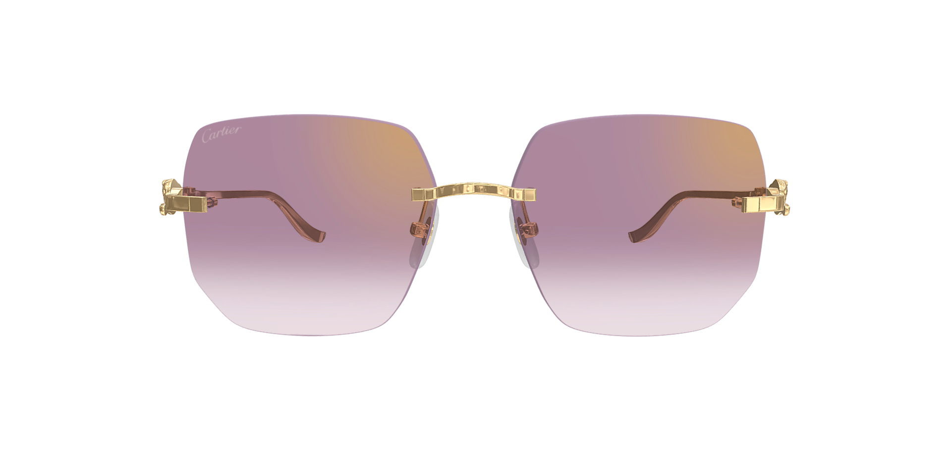 CARTIER CT0549S 004 L CAT 2