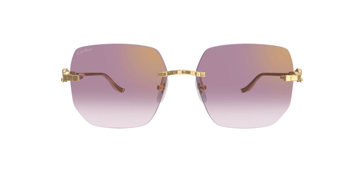 CARTIER CT0549S 004 L CAT 2