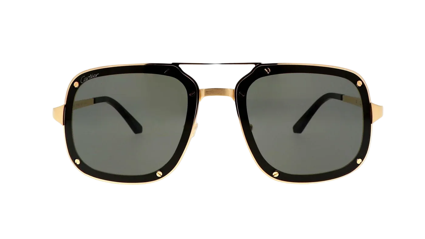 CARTIER CT0194S 002 CAT 3