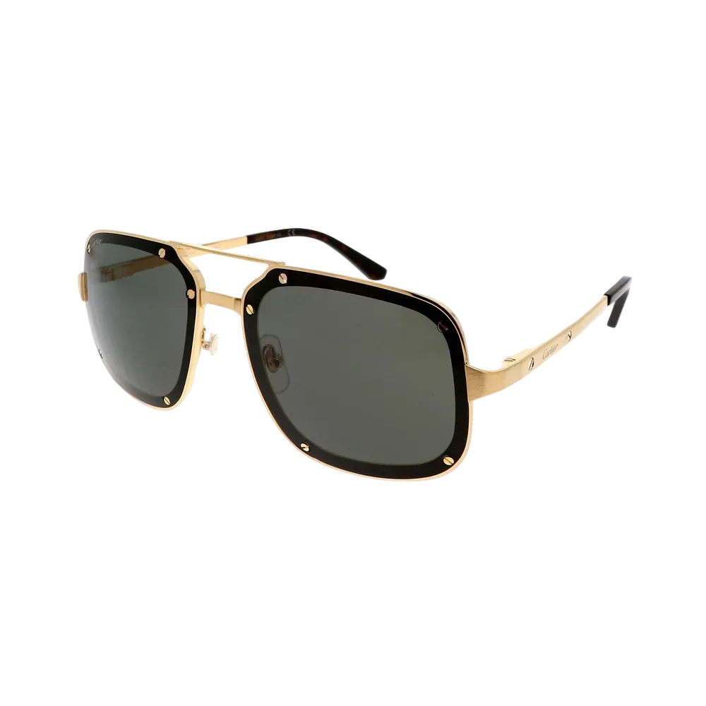 CARTIER CT0194S 002 CAT 3