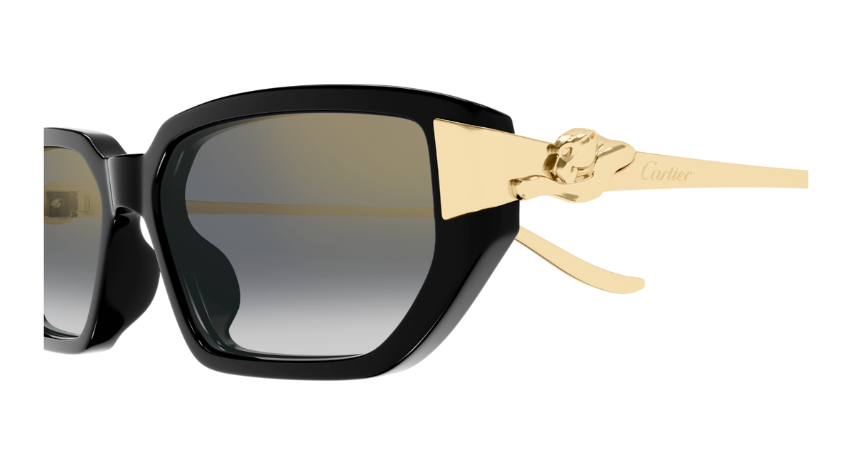 CARTIER CT0674S 001