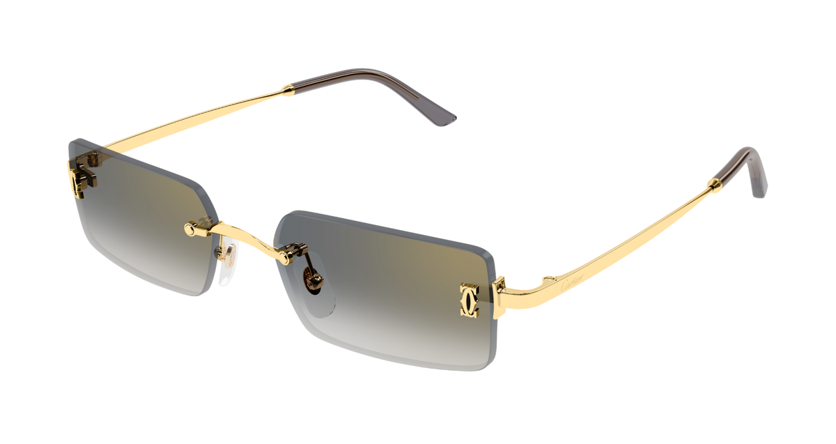 CARTIER CT0672S 001