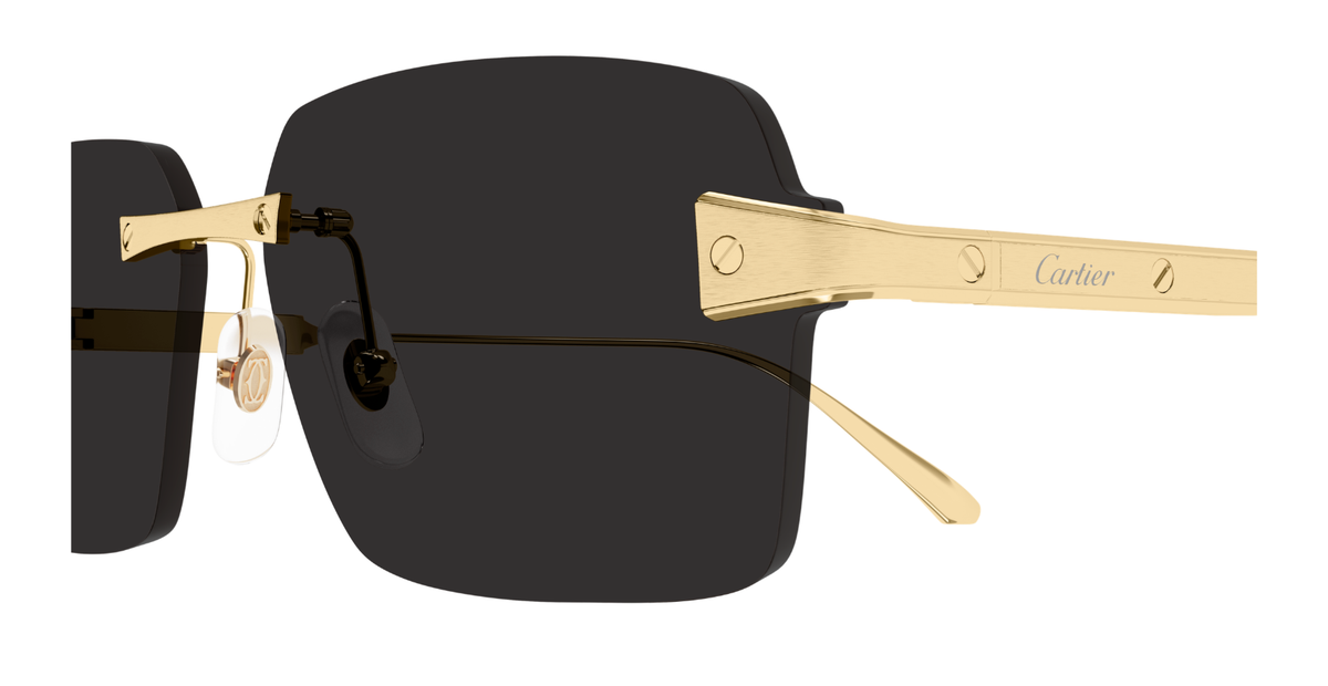 CARTIER CT0652S 001 XL