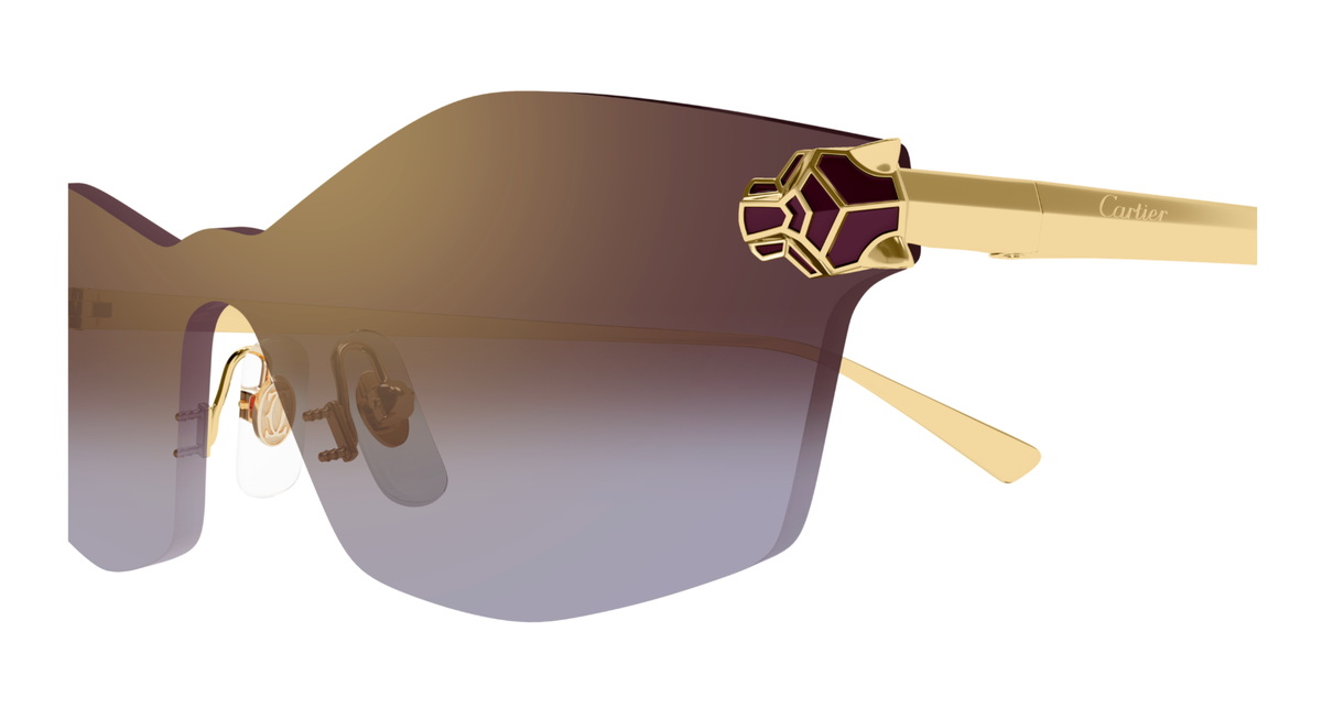 CARTIER CT0678S 004 XL
