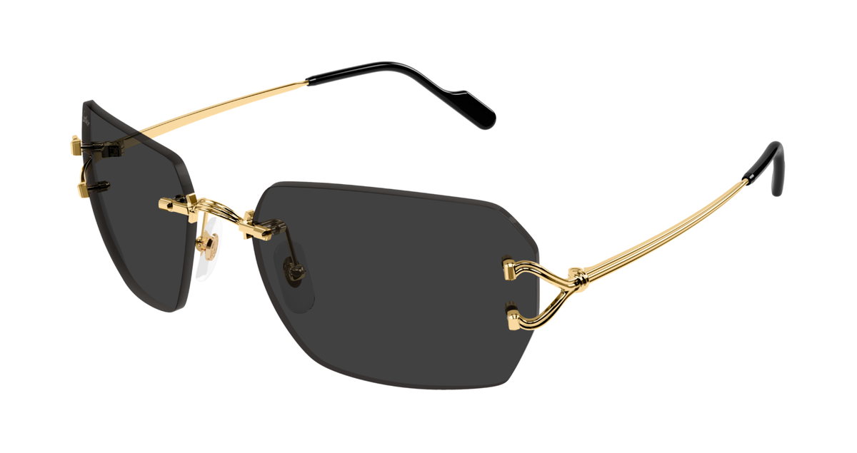 CARTIER CT0664S 001 M