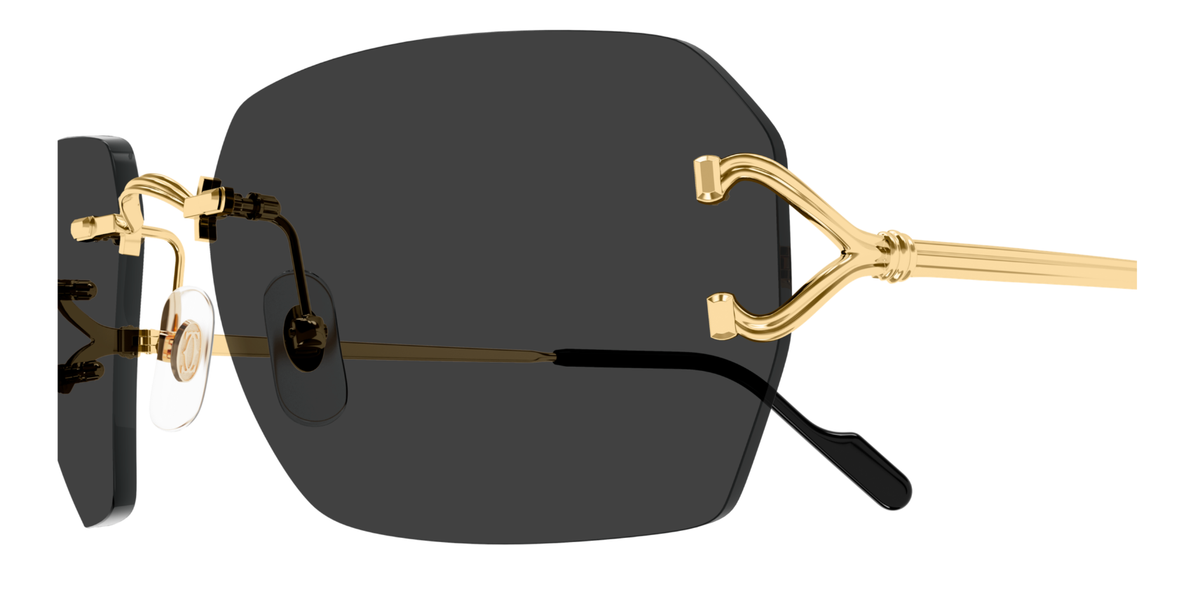 CARTIER CT0664S 001 M