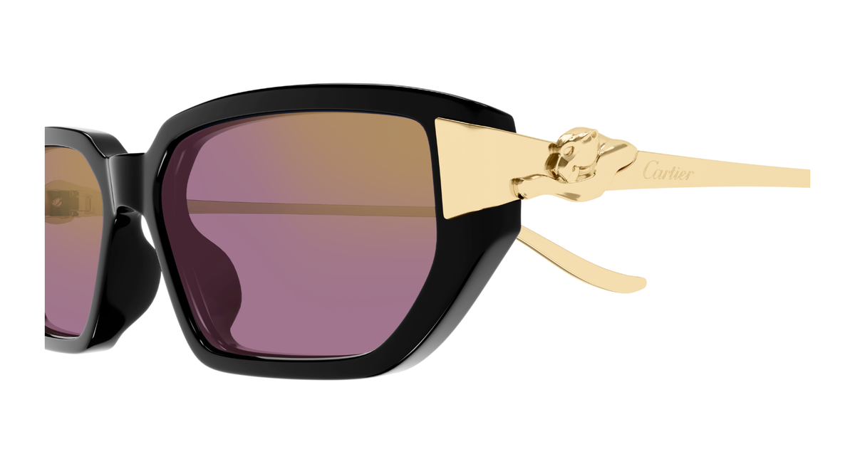 CARTIER CT0674S 004 M