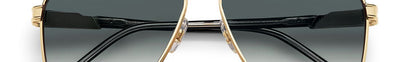 Carrera CARRERA 1055/S W3J