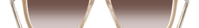 Carrera VICTORY C 03/S VVP