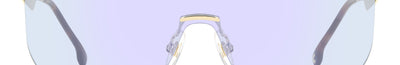 Carrera FLAGLAB 19 MVU