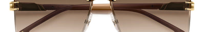 Carrera CARRERA 1074/S VVP